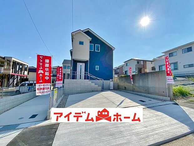 全体（2025年8月）撮影