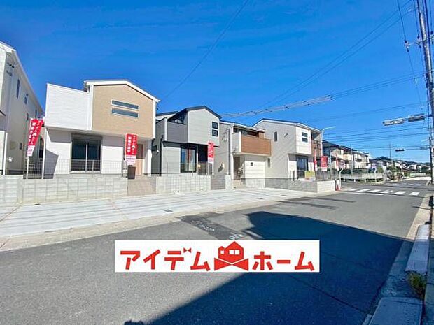 全体（2025年11月）撮影