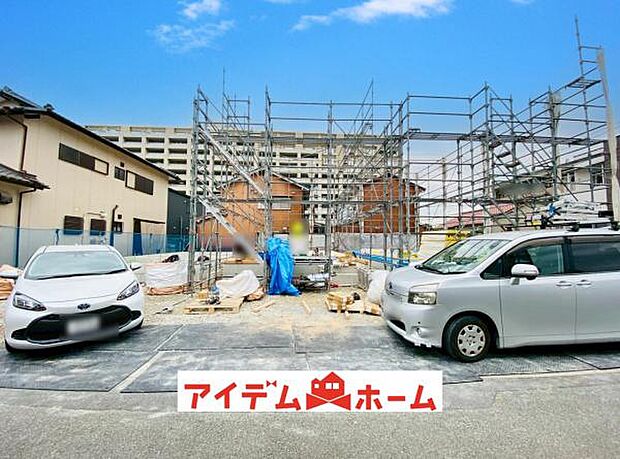 全体(2025年11月)撮影