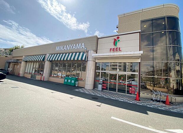 フィールみかん山（595m）