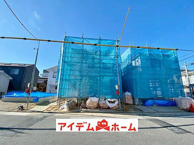 全体（2026年2月）撮影