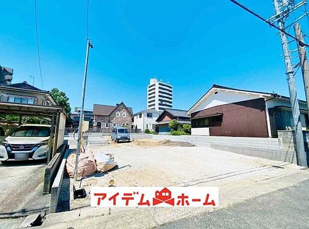 全体（2025年6月）撮影