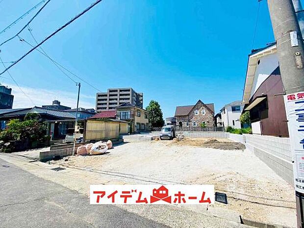 全体（2025年6月）撮影