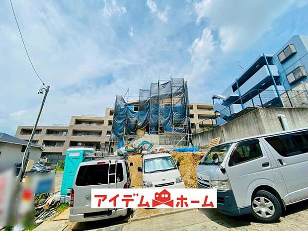 全体（2025年6月）撮影