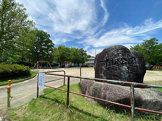 一本松公園（315m）