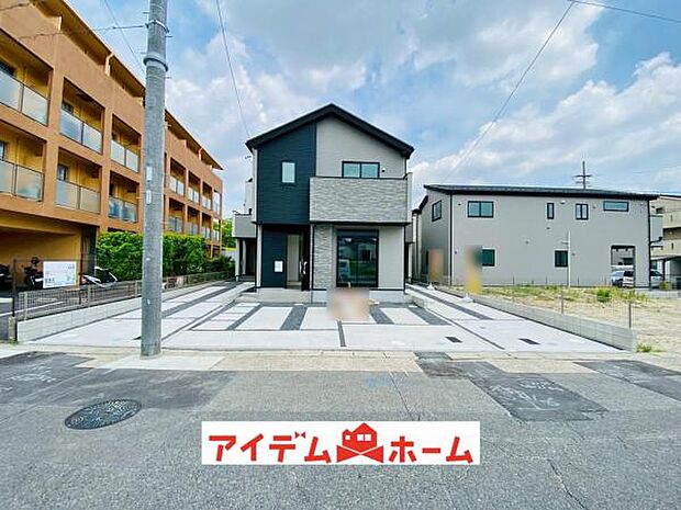 全体（2025年6月）撮影