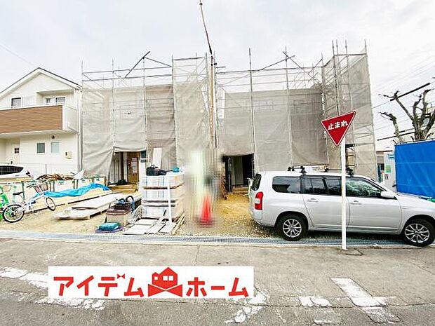 全体（2026年1月）撮影