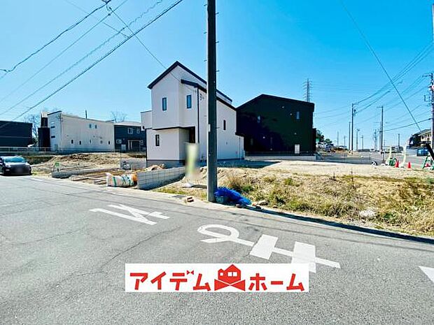 全体(2026年3月)撮影