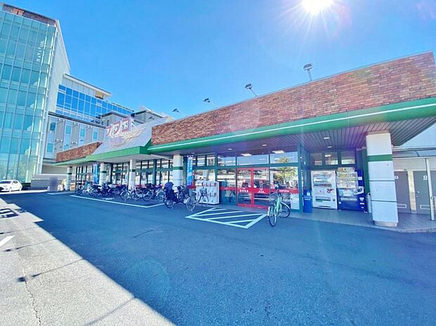ナフコトミダ 春岡店（315m）