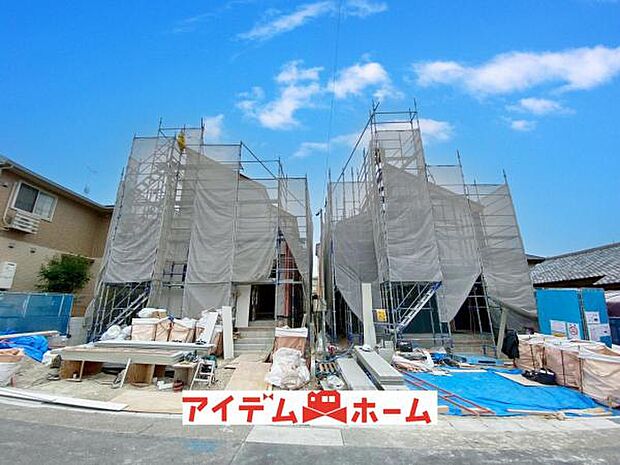 全体(2026年3月)撮影