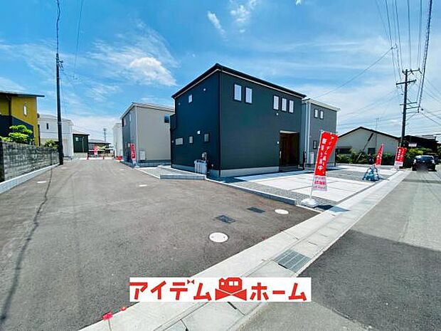 全体（2026年6月）撮影