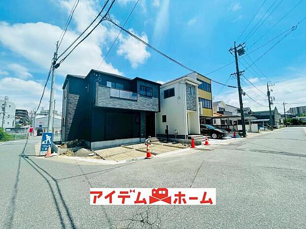 全体（2026年6月）撮影