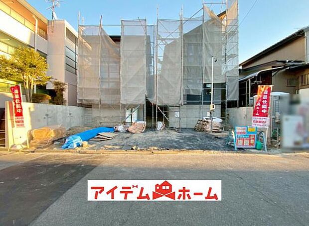 全体(2026年1月)撮影