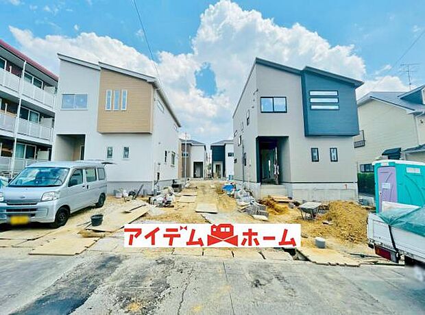 全体（2026年6月）撮影