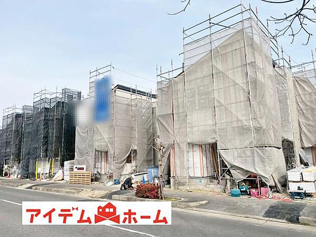 全体（2026年1月）撮影