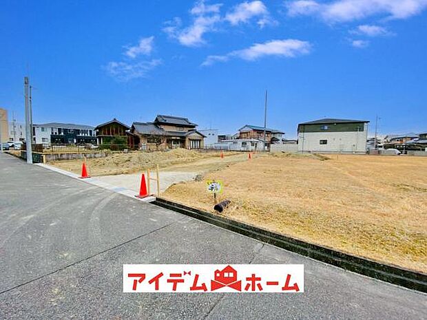 全体（2026年2月）撮影