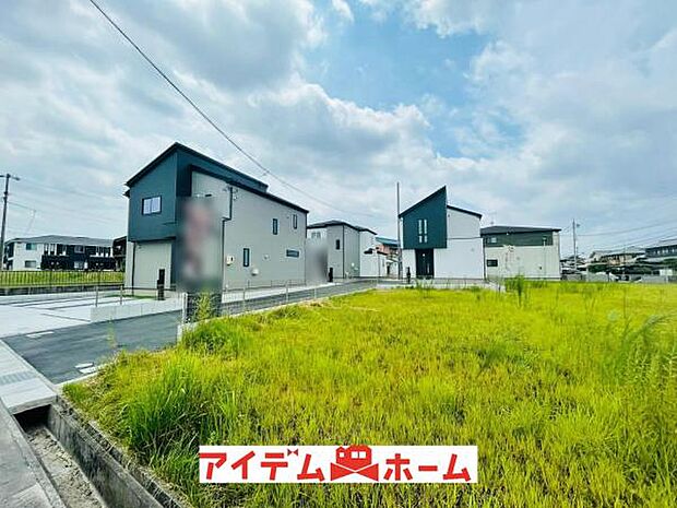 全体(2026年6月)撮影