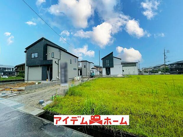 全体（2026年6月）撮影