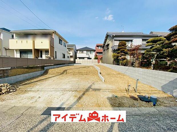 全体（2026年2月）撮影