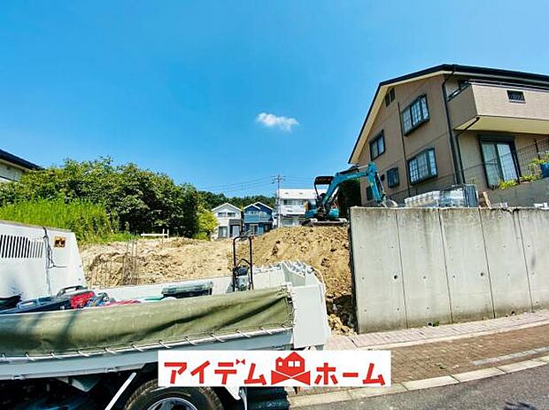 全体（2025年8月）撮影