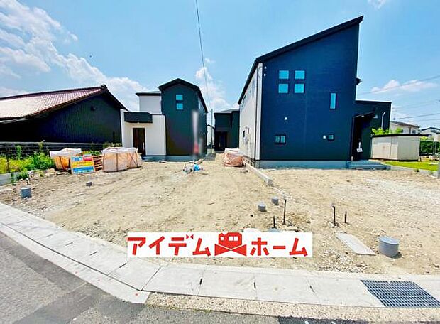 全体（2026年6月）撮影