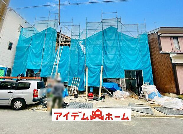 全体（2025年11月）撮影