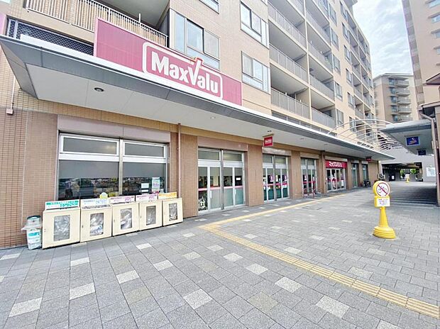 マックスバリュ自由ヶ丘店（900m）