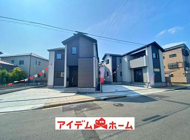 全体（2026年8月）撮影