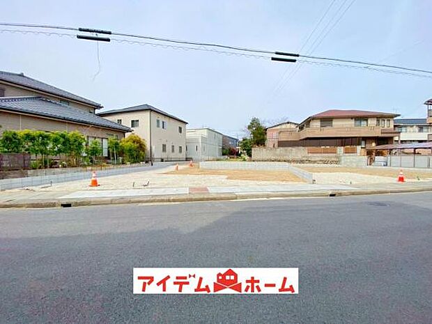 全体(2026年3月)撮影