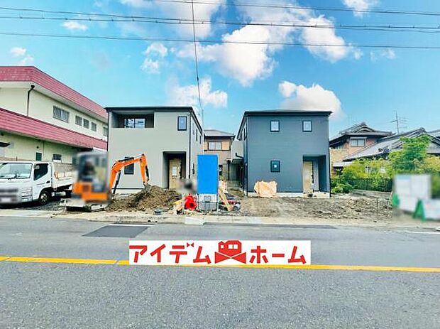 全体（2026年6月）撮影