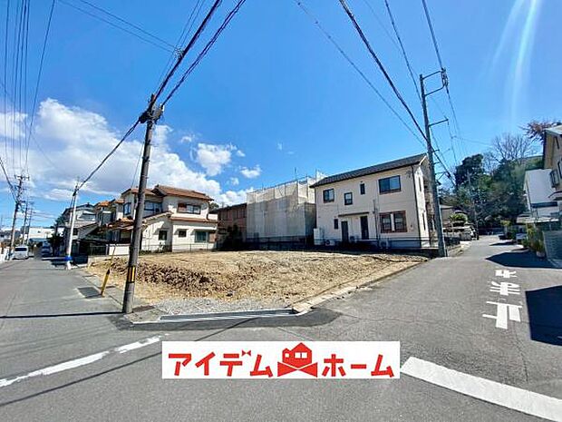 全体(2026年3月)撮影