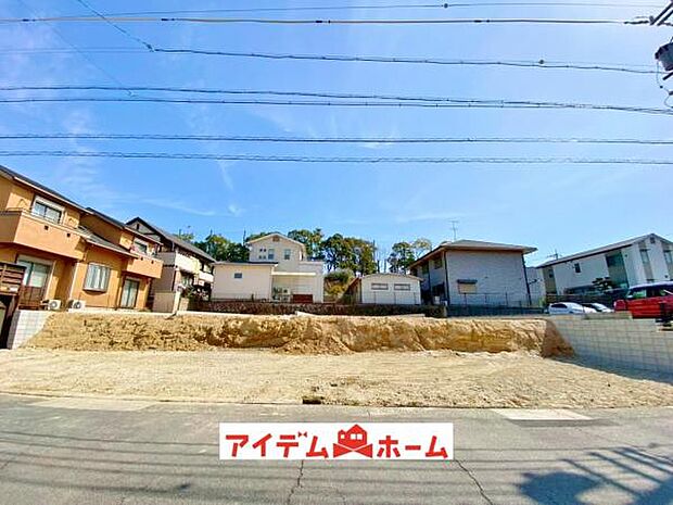 全体(2026年3月)撮影