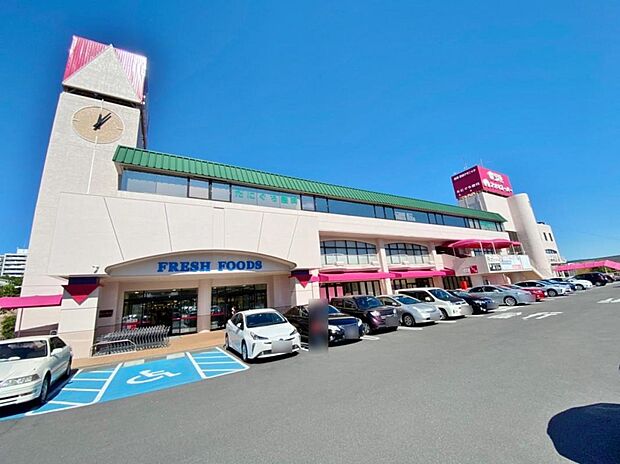 アオキスーパー 千代が丘店(720m)