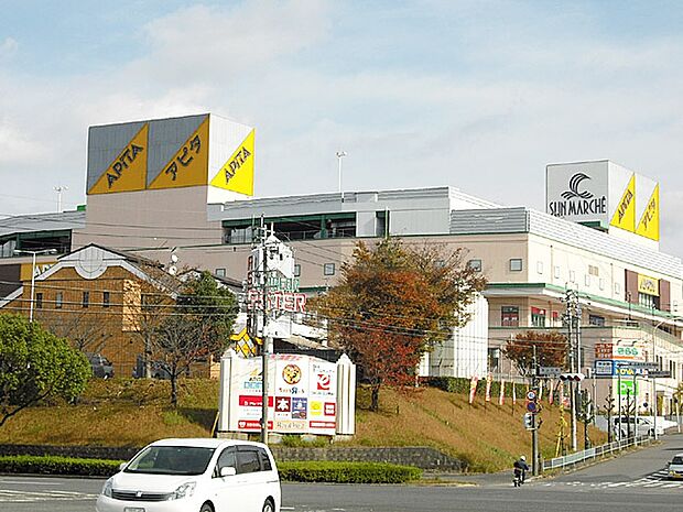 アピタ(1600m)