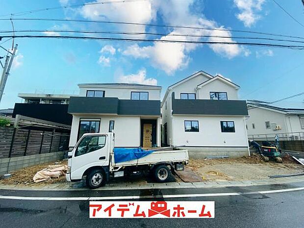 全体（2026年6月）撮影
