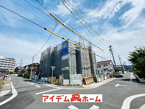 全体(2026年7月)撮影