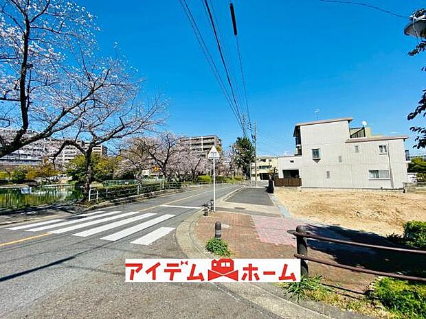 前面道路(2026年3月)撮影