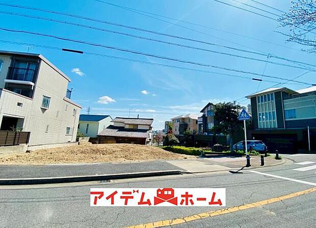 全体（2026年3月）撮影