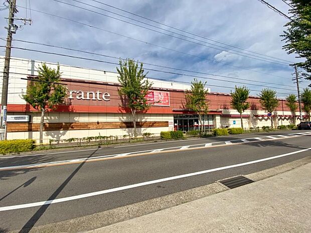 極楽フランテ（1150m）