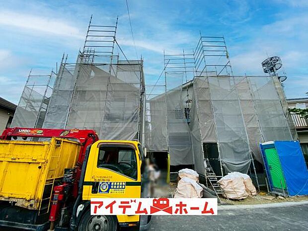 全体（2026年5月）撮影
