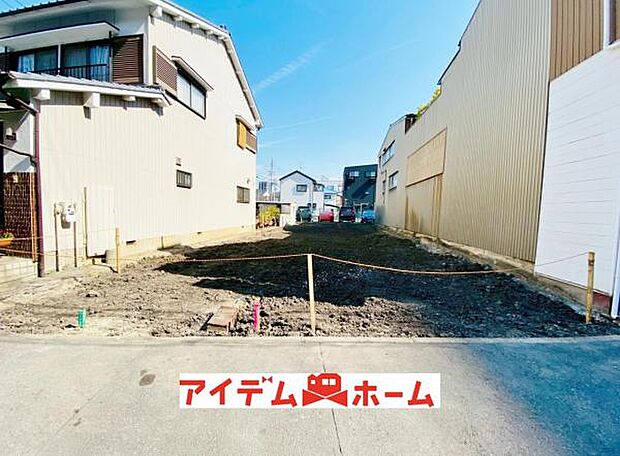 全体(2026年3月)撮影