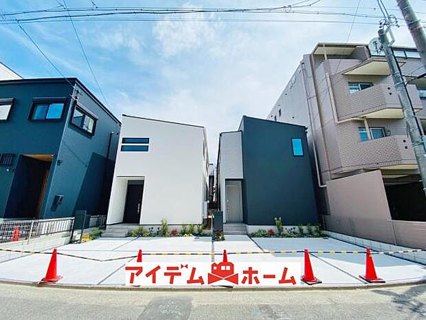 全体（2026年7月）撮影