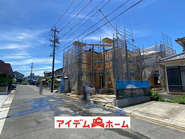 全体（2026年6月）撮影
