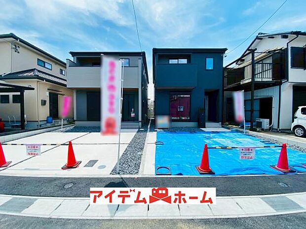 全体（2026年6月）撮影