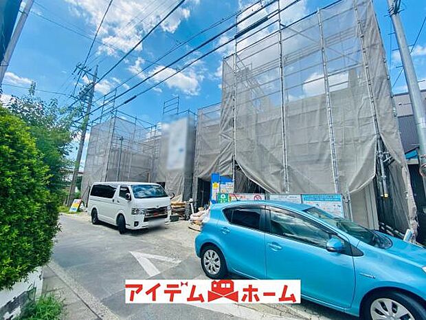 全体（2026年8月）撮影