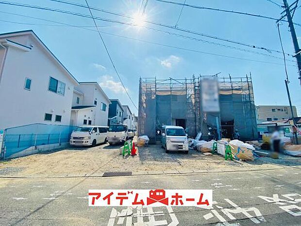 全体（2026年8月）撮影