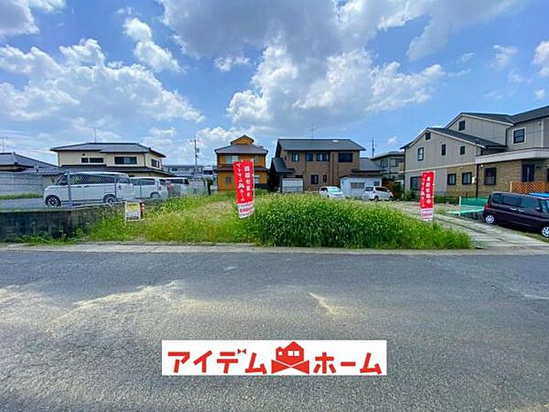 全体(2026年7月)撮影
