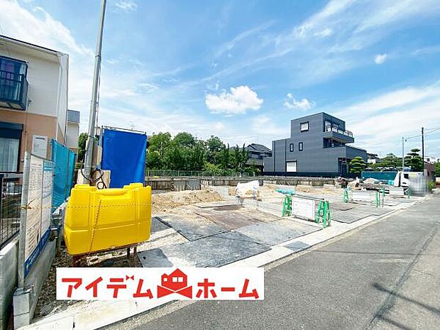全体（2026年6月）撮影