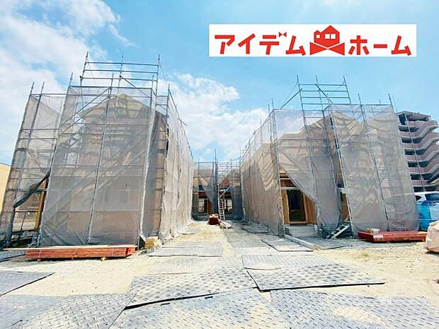 全体(2026年7月)撮影