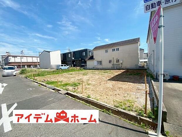 全体（2026年6月）撮影